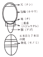 面2